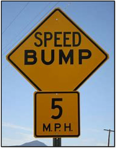 The Impact of Traffic Bumps: Examining Their Effects on Vehicle Speed and Road Safety