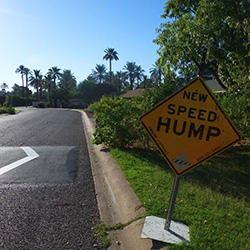 The Impact of Speed Bumps and Humps